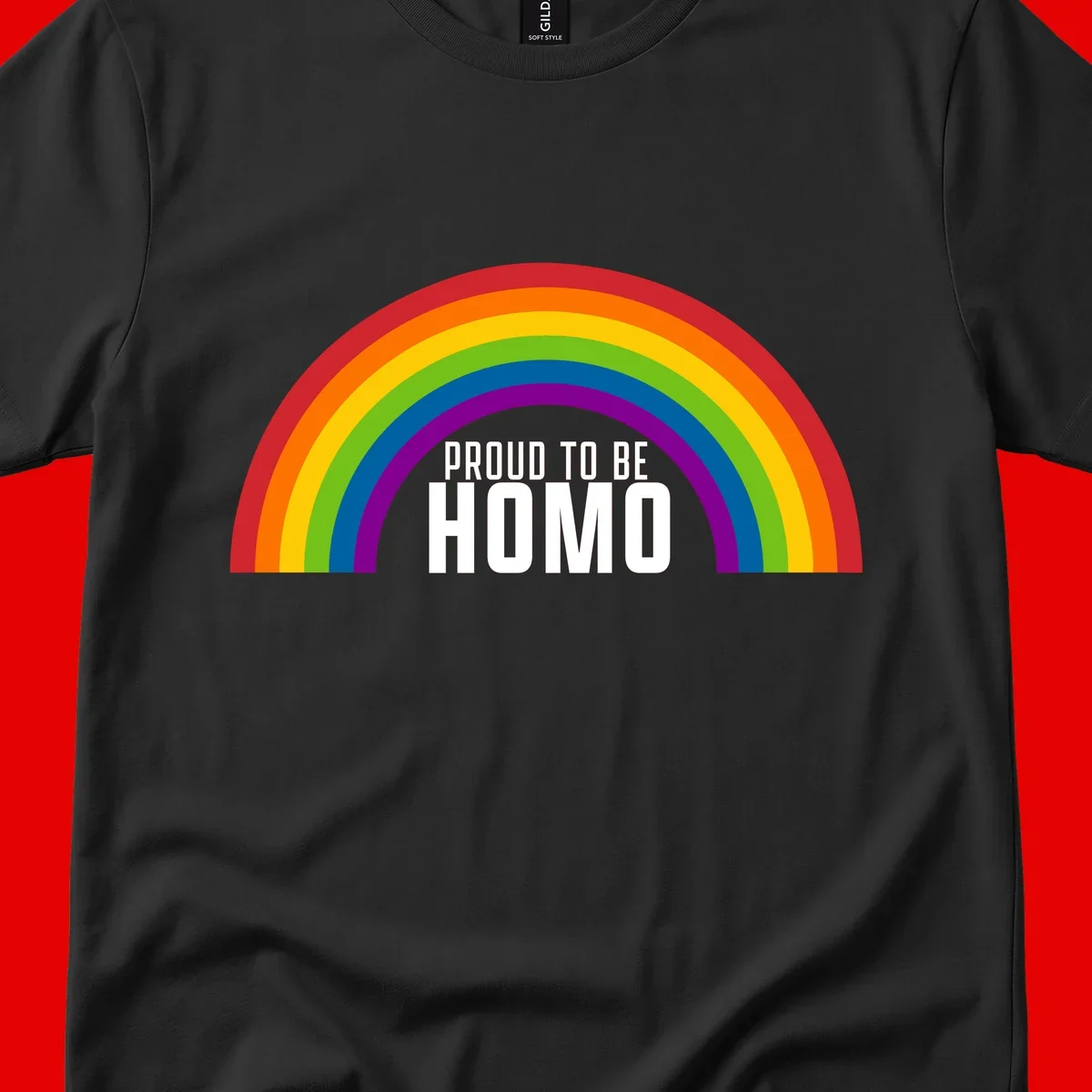 Proud to be homo design: rainbow arc in pride colors frames white text on gray background