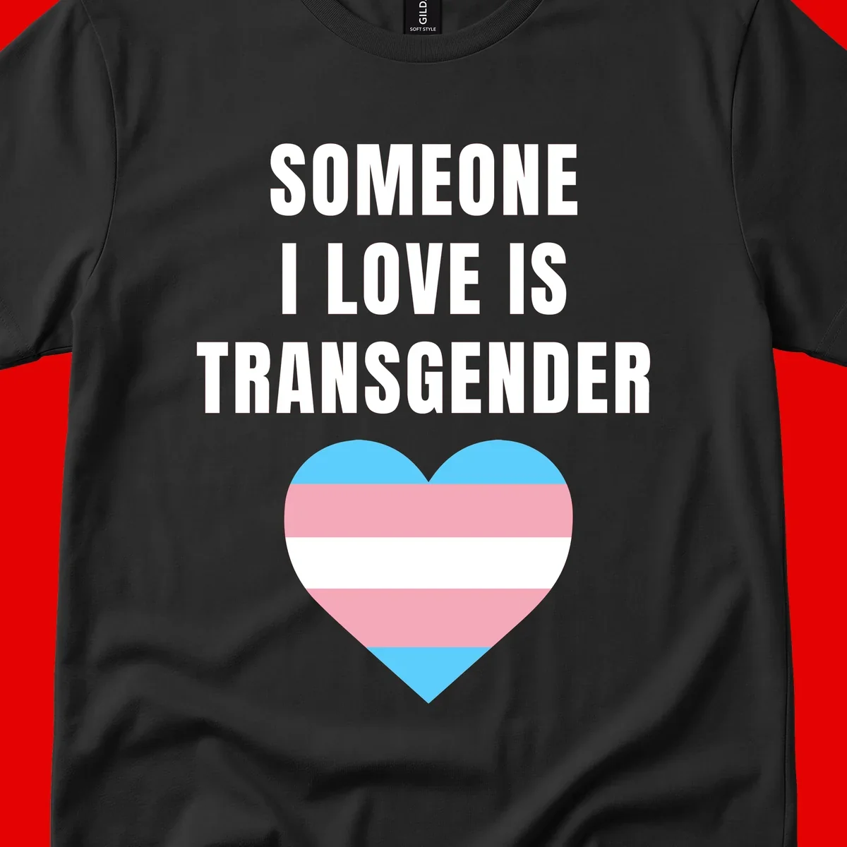 Gray background with white text reading 'Someone I Love Is Transgender' above a heart featuring blue, pink, and white transgender flag stripes