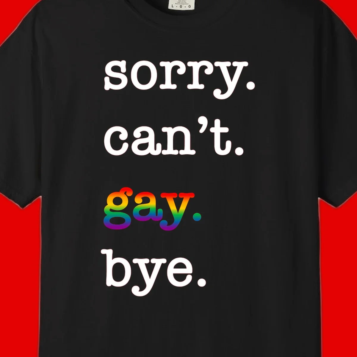 Gray background with white text reading 'Sorry can't say' and 'bye' with the word 'gay' in vibrant rainbow gradient colors, a playful pride celebration design.