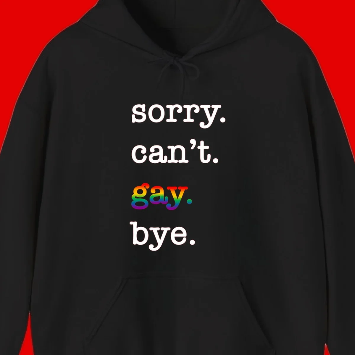 Gray background with white text reading 'Sorry can't say' and 'bye' with the word 'gay' in vibrant rainbow gradient colors, a playful pride celebration design.