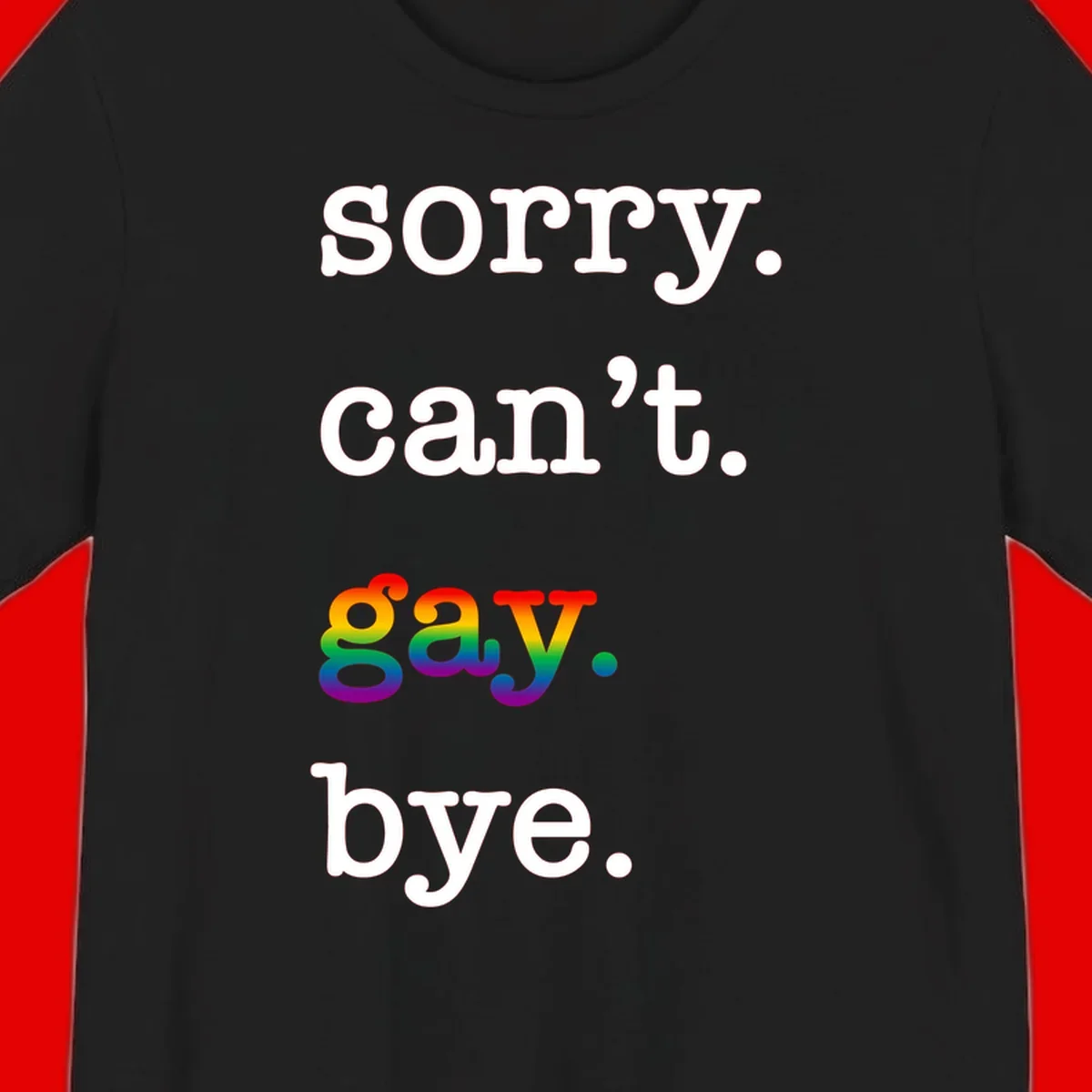 Gray background with white text reading 'Sorry can't say' and 'bye' with the word 'gay' in vibrant rainbow gradient colors, a playful pride celebration design.