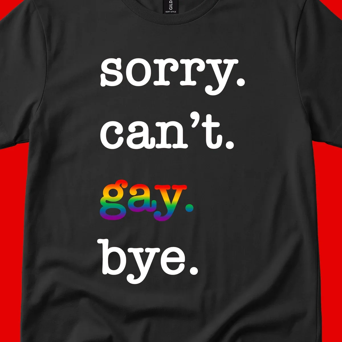 Gray background with white text reading 'Sorry can't say' and 'bye' with the word 'gay' in vibrant rainbow gradient colors, a playful pride celebration design.
