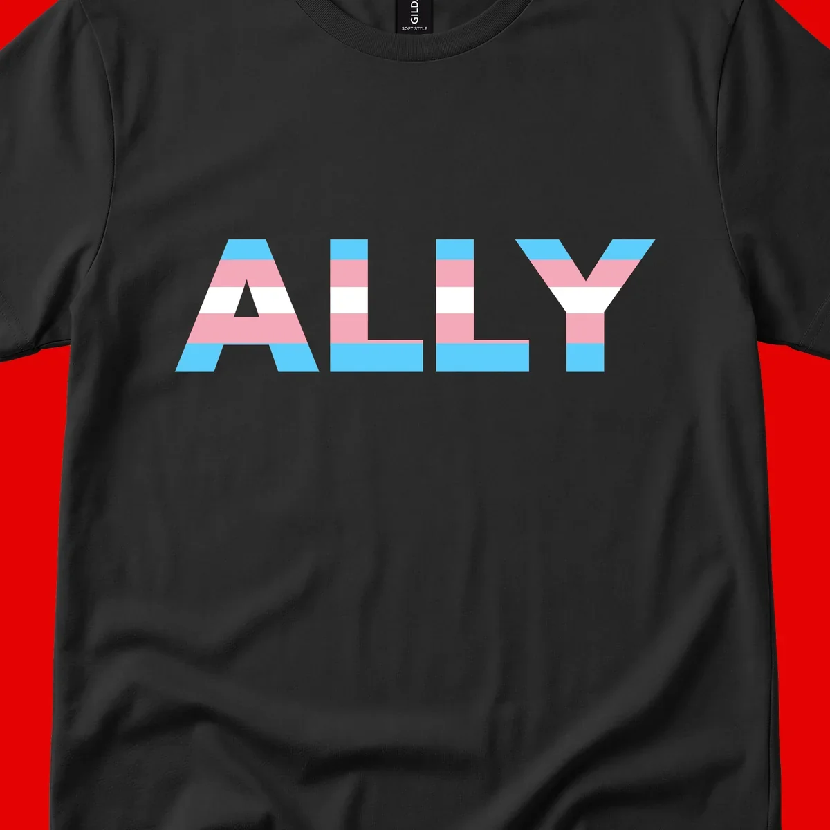 Trans pride flag colors in cyan, pink, and white horizontal stripes forming geometric letters spelling 'ALLY'