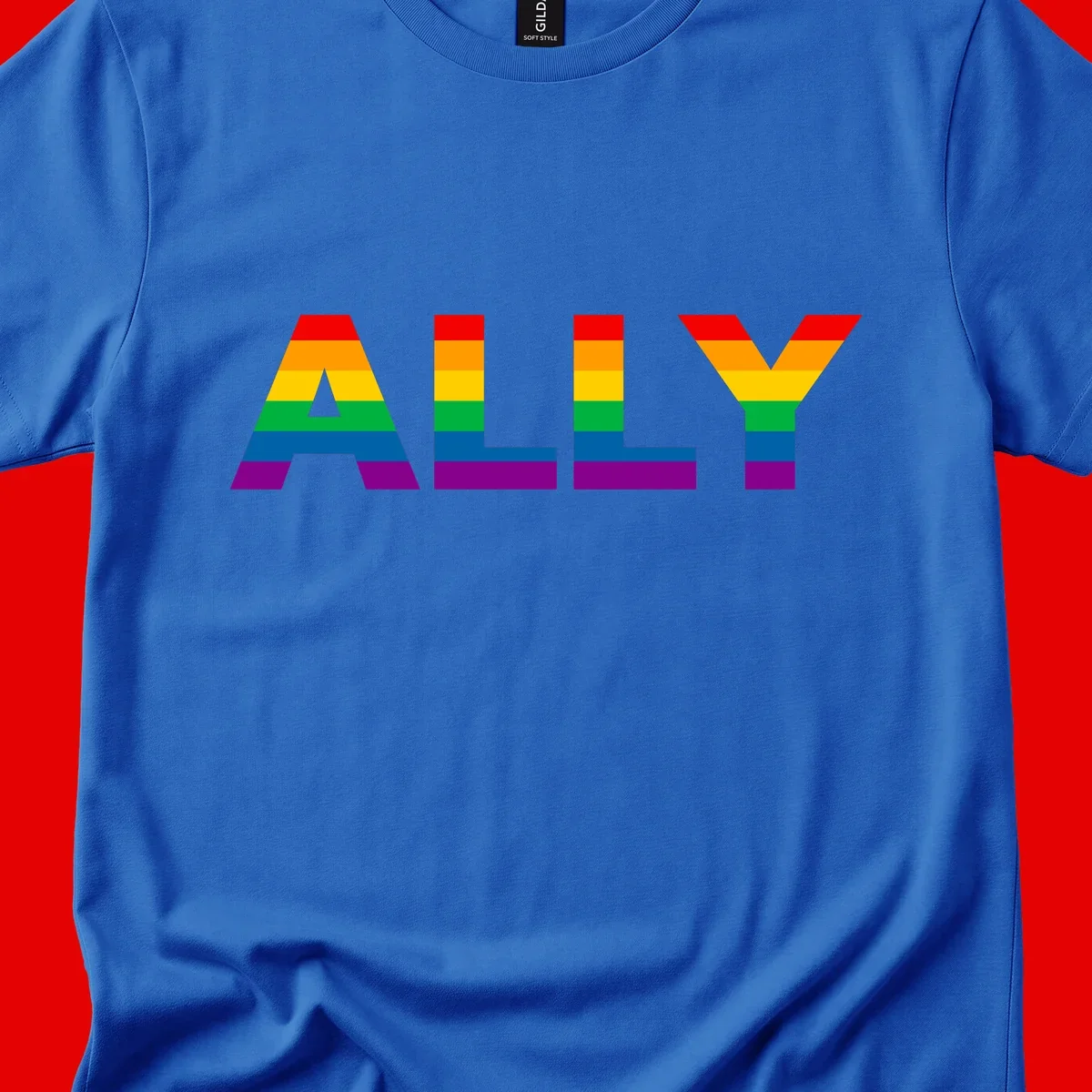 Rainbow-colored letters spelling ALLY with pride flag horizontal stripes in red, orange, yellow, green, blue, and purple