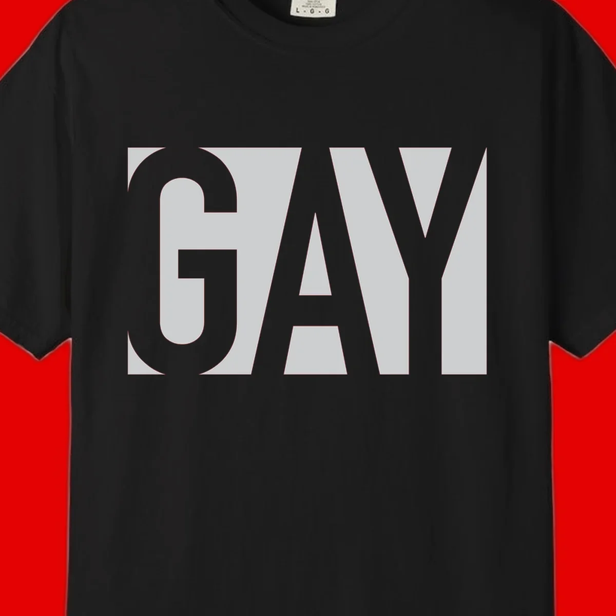 Bold gray and white typography design with the word 'GAY' in large, thick sans-serif letters on a light background
