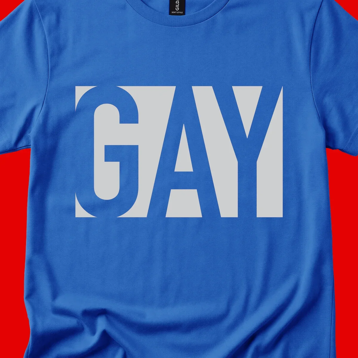 Bold gray and white typography design with the word 'GAY' in large, thick sans-serif letters on a light background
