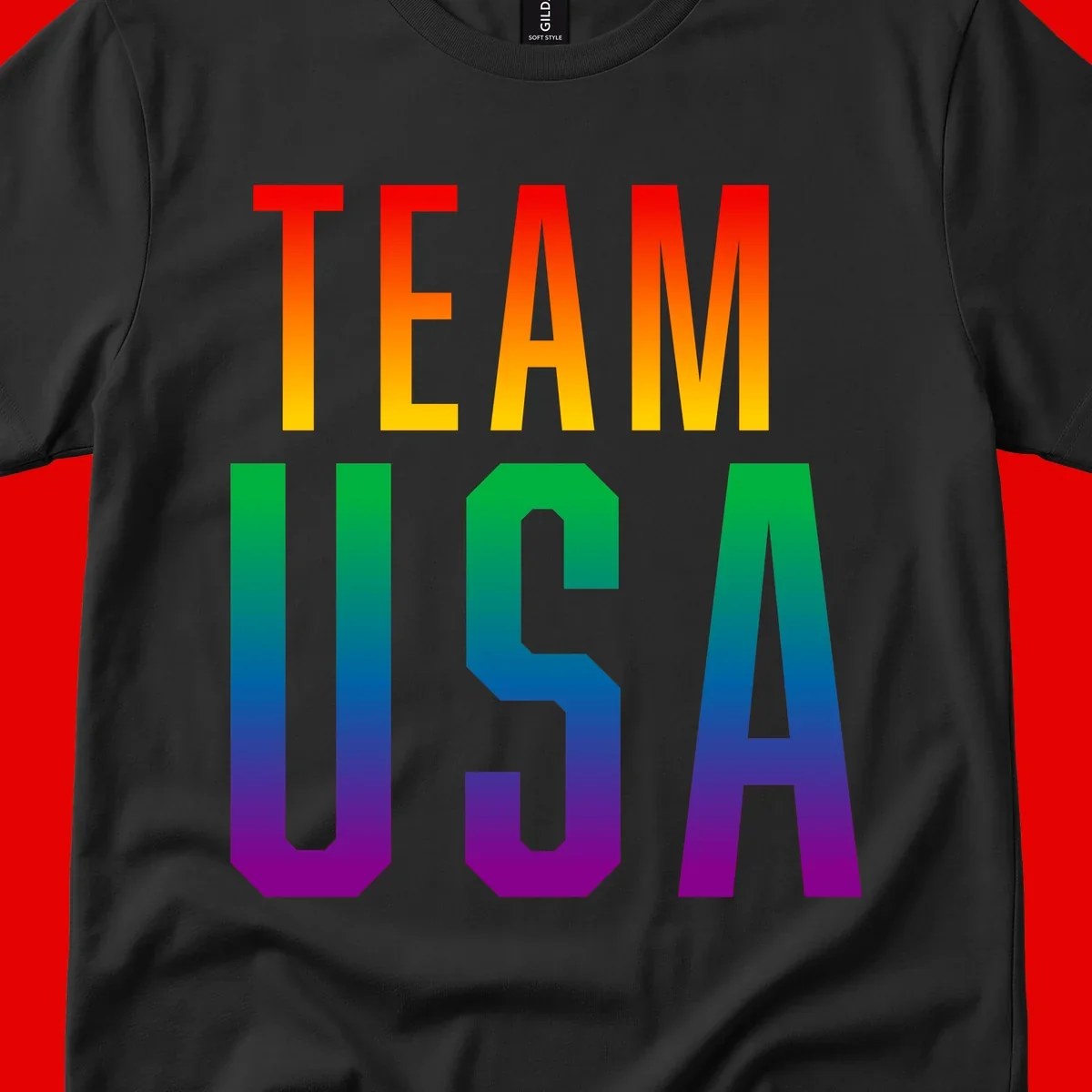 Team USA rainbow pride design with bold text gradient from red to purple representing LGBTQ+ flag colors