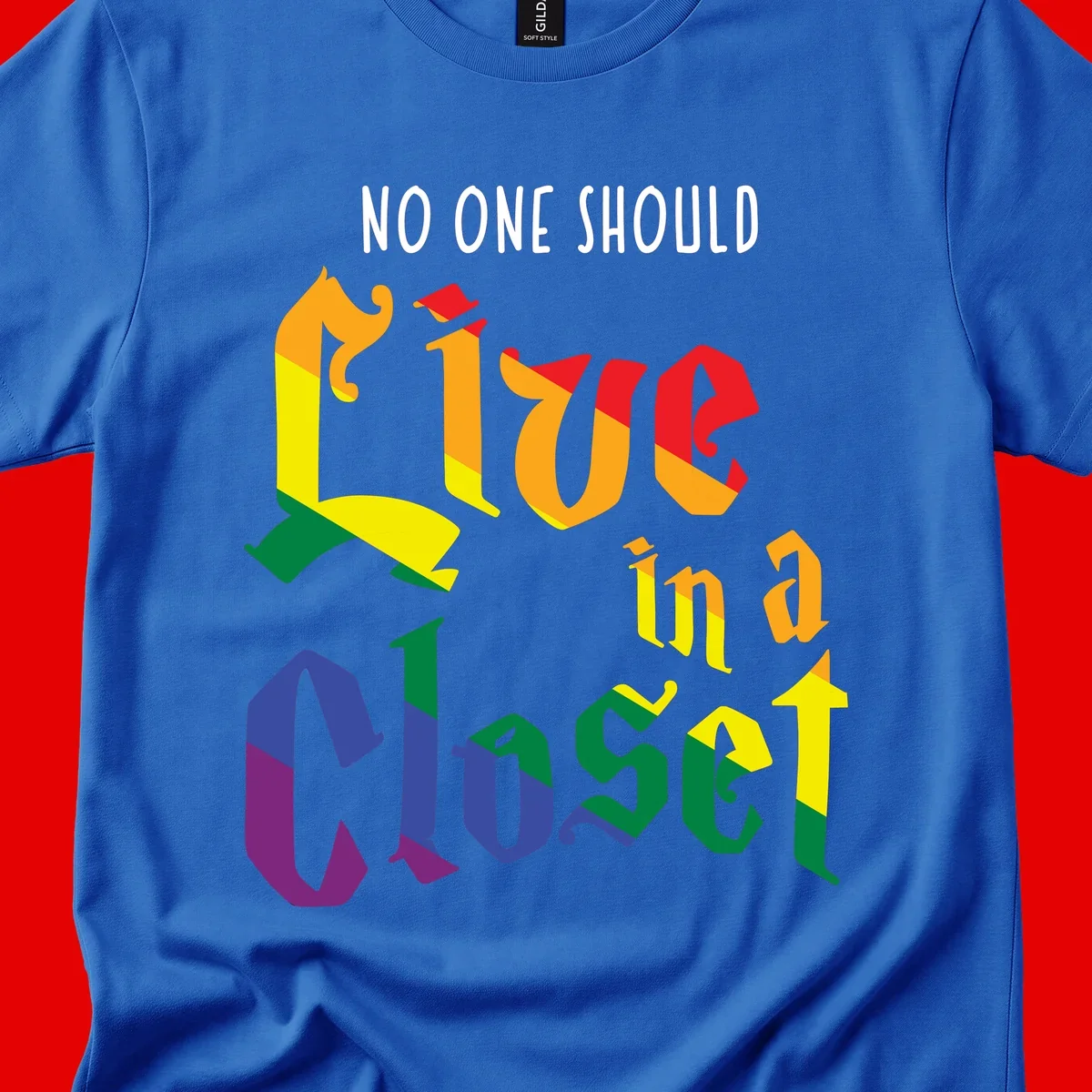Rainbow gradient text reading 'NO ONE SHOULD LIVE IN A CLOSET' in bold, dimensional letters featuring pride flag colors on gray background