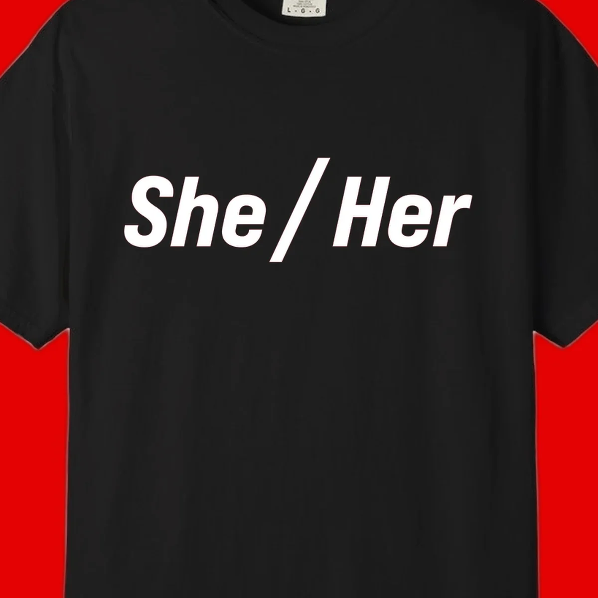 White text reading 'She / Her' in bold sans-serif font on gray background, pronoun statement design