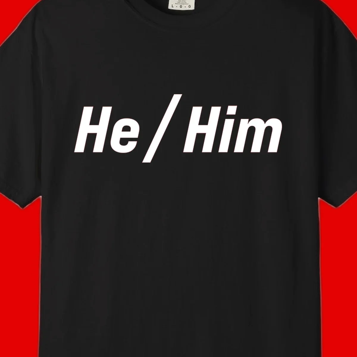 Bold white text reading 'He / Him' with forward slash on gray background for pronoun pride awareness