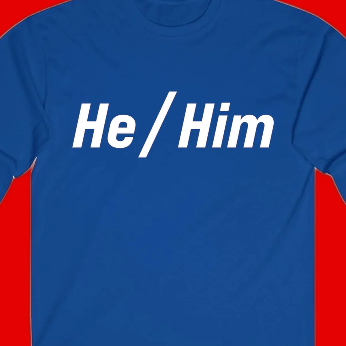 Bold white text reading 'He / Him' with forward slash on gray background for pronoun pride awareness