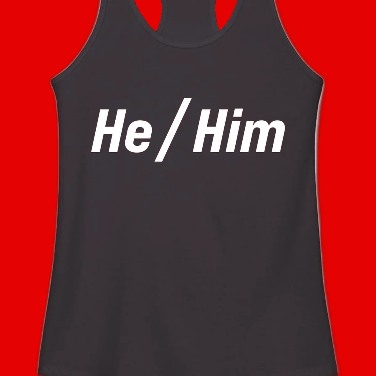 Bold white text reading 'He / Him' with forward slash on gray background for pronoun pride awareness