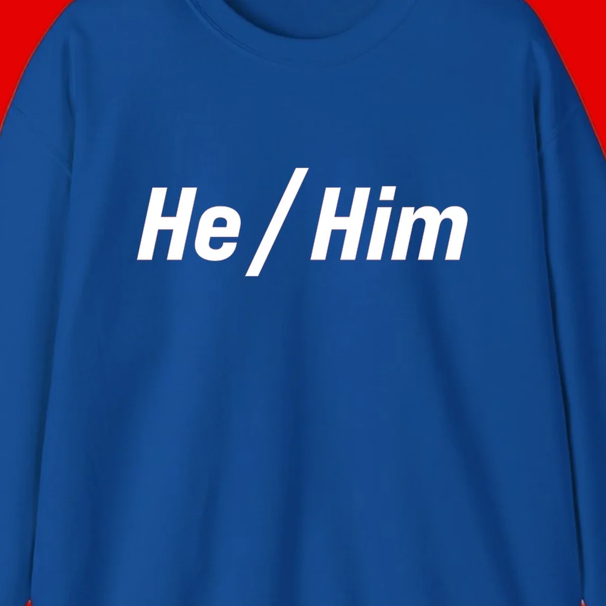 Bold white text reading 'He / Him' with forward slash on gray background for pronoun pride awareness