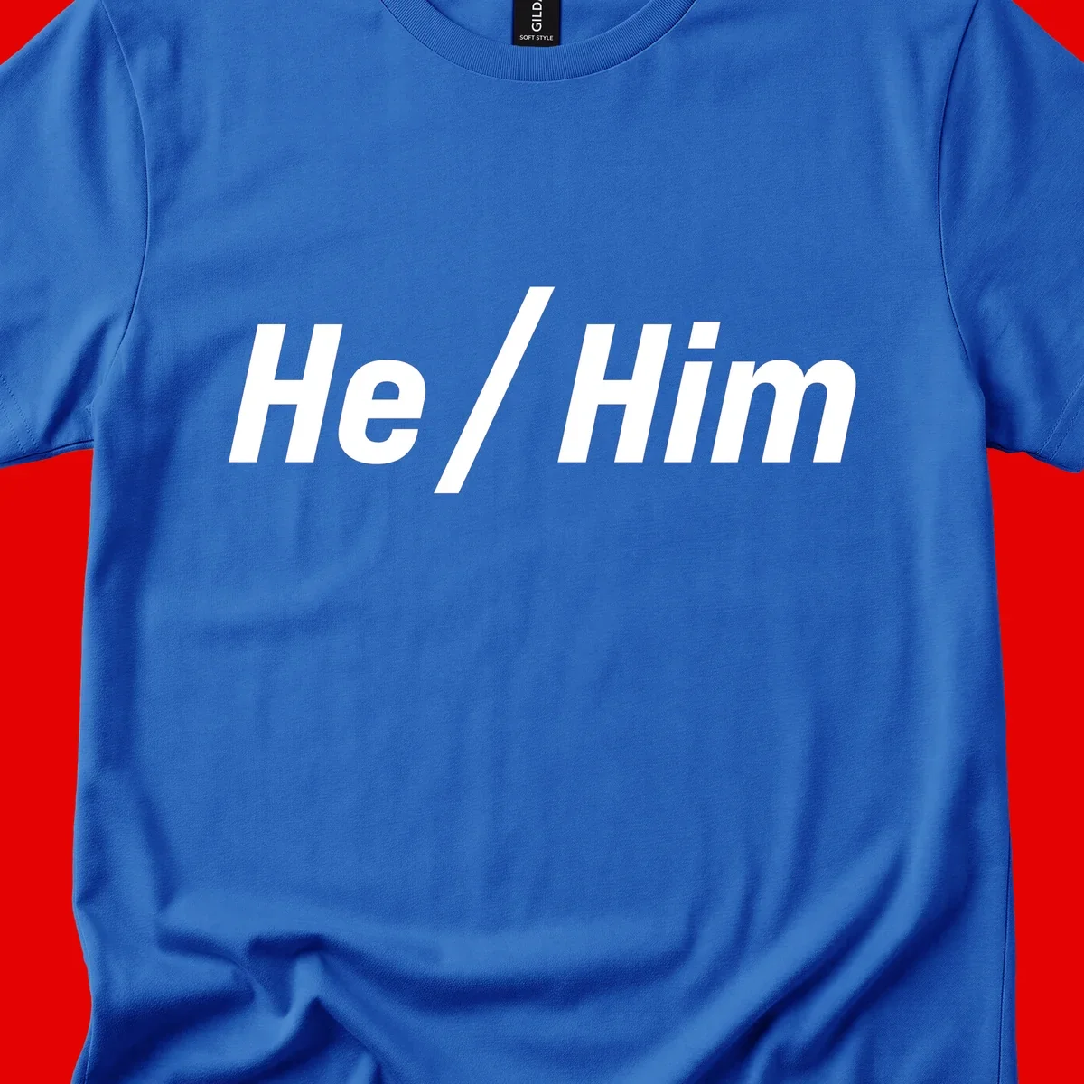 Bold white text reading 'He / Him' with forward slash on gray background for pronoun pride awareness