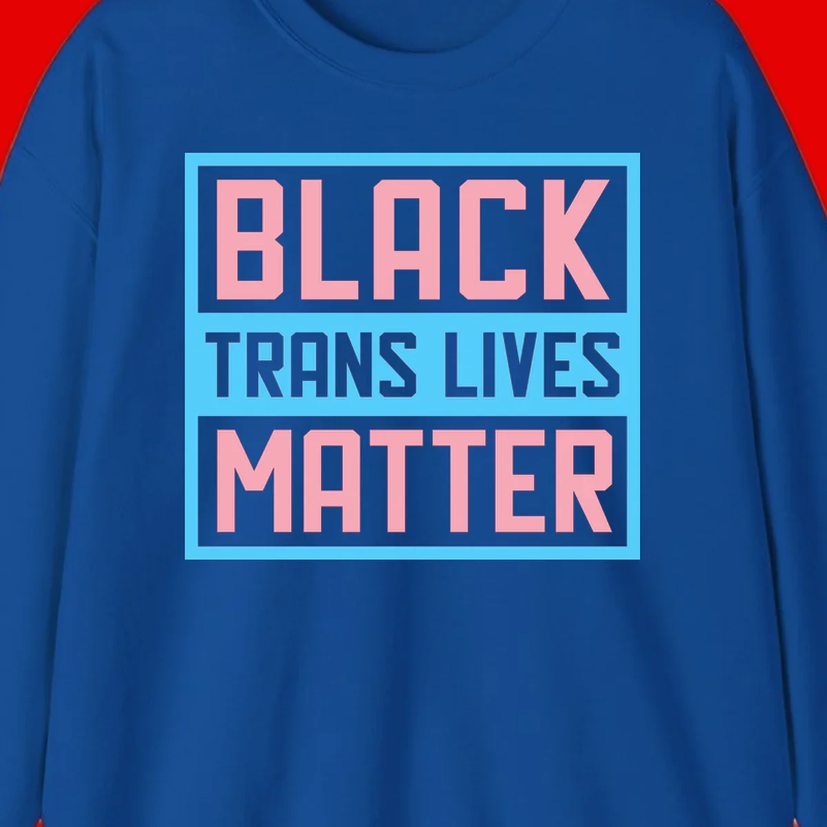 Bold pink block letters spelling 'BLACK TRANS LIVES MATTER' on light blue and gray background
