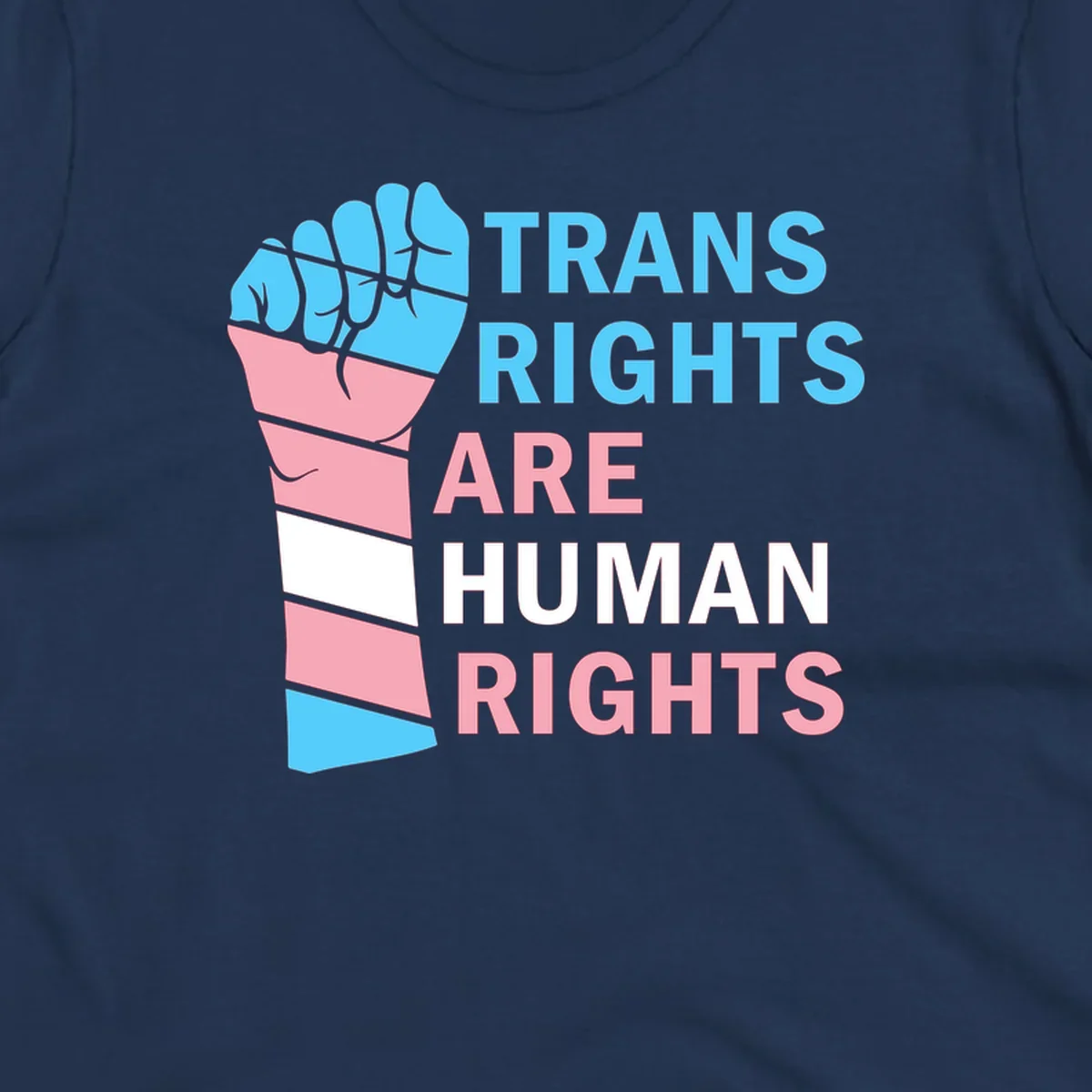 Raised fist in trans flag colors (blue, pink, white) with text 'Trans Rights Are Human Rights' promoting equality and pride