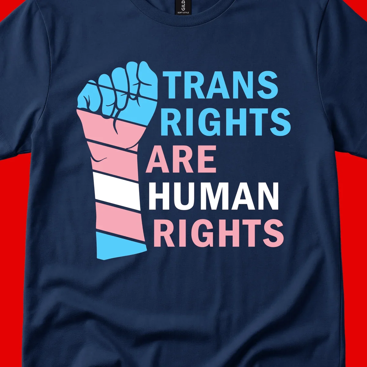Raised fist in trans flag colors (blue, pink, white) with text 'Trans Rights Are Human Rights' promoting equality and pride