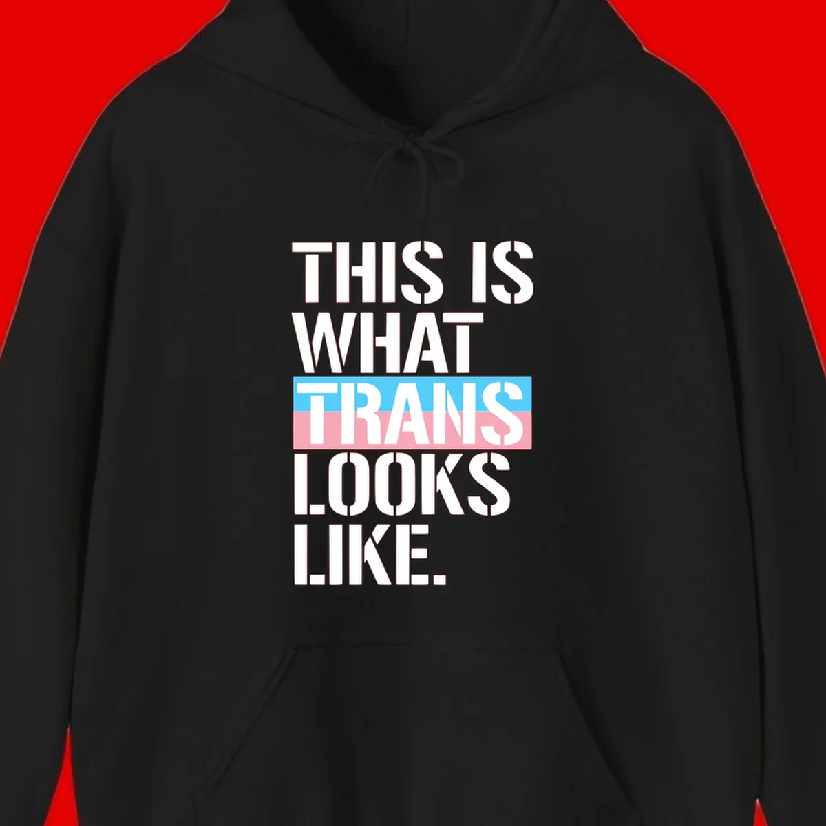 Bold typography design reading 'THIS IS WHAT TRANS LOOKS LIKE' with trans pride flag colors in blue and pink stripe