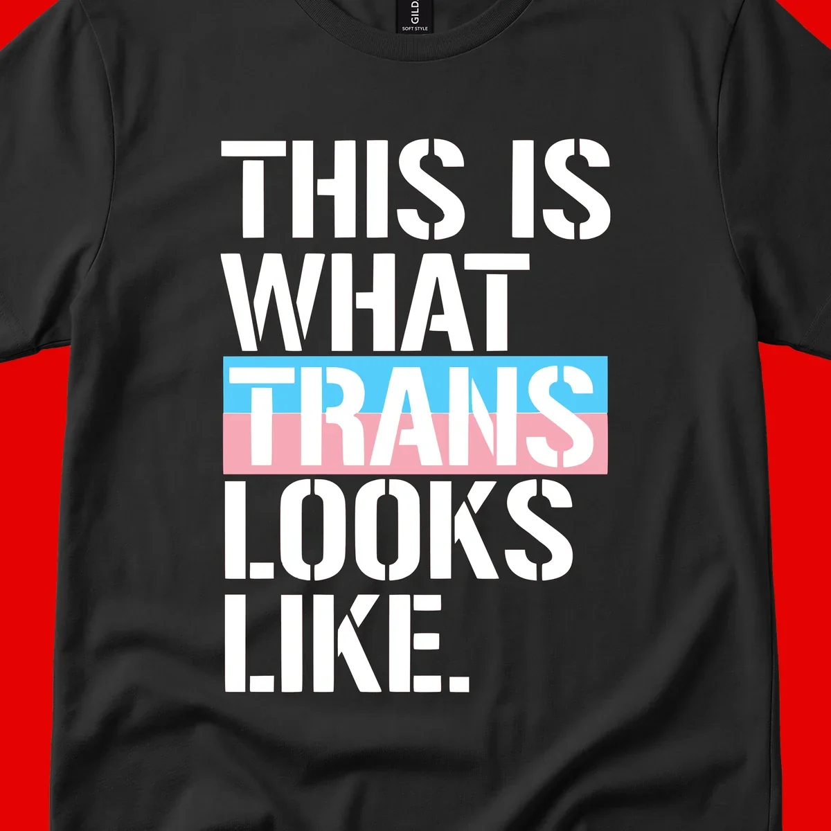 Bold typography design reading 'THIS IS WHAT TRANS LOOKS LIKE' with trans pride flag colors in blue and pink stripe