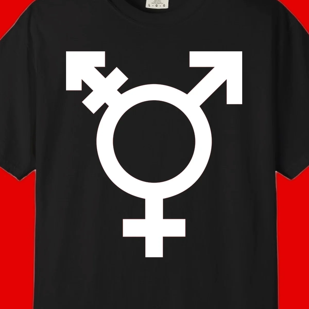 White transgender pride symbol featuring a circle with cross on gray background, representing trans identity and LGBTQ pride
