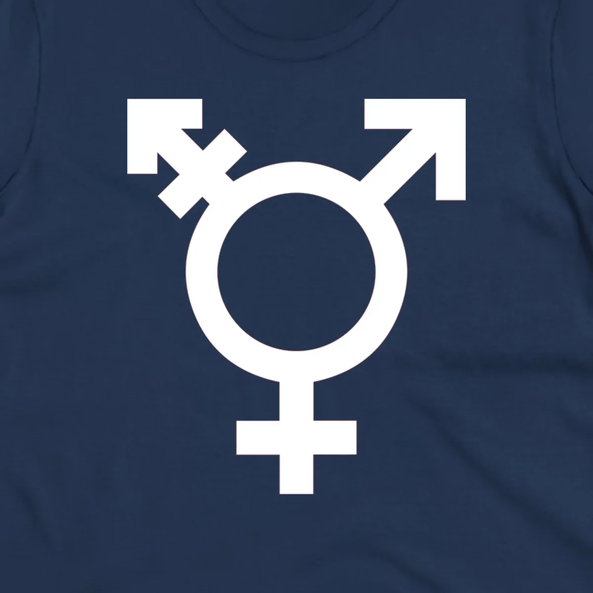 White transgender pride symbol featuring a circle with cross on gray background, representing trans identity and LGBTQ pride
