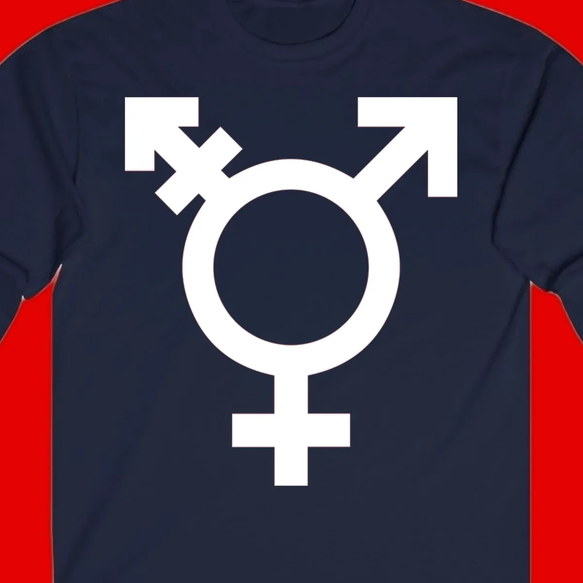 White transgender pride symbol featuring a circle with cross on gray background, representing trans identity and LGBTQ pride