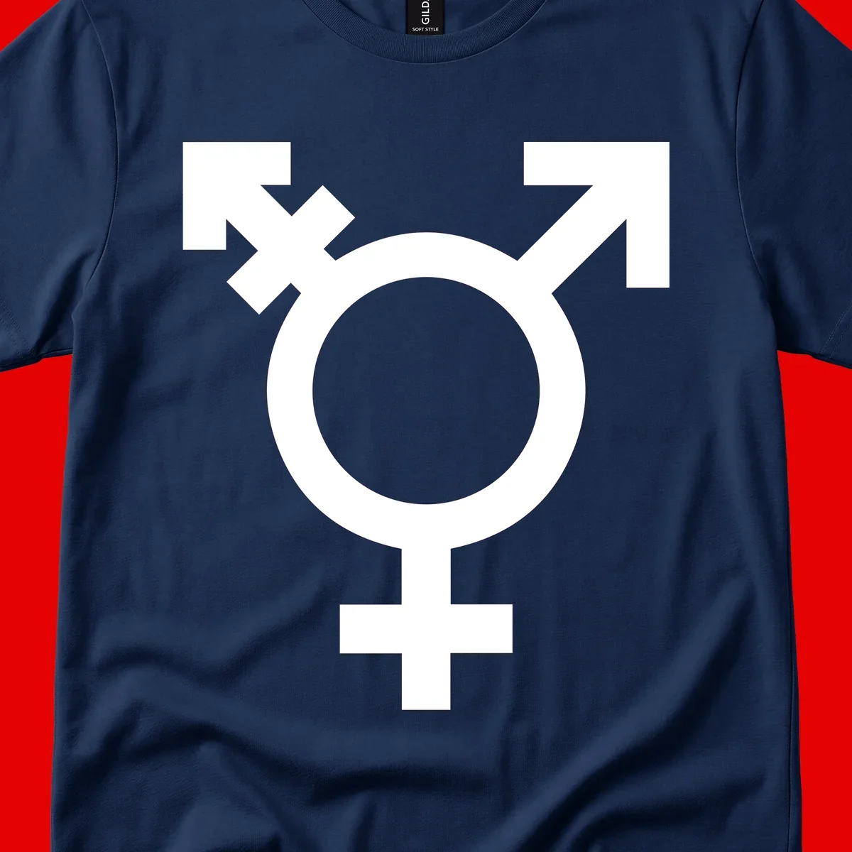White transgender pride symbol featuring a circle with cross on gray background, representing trans identity and LGBTQ pride
