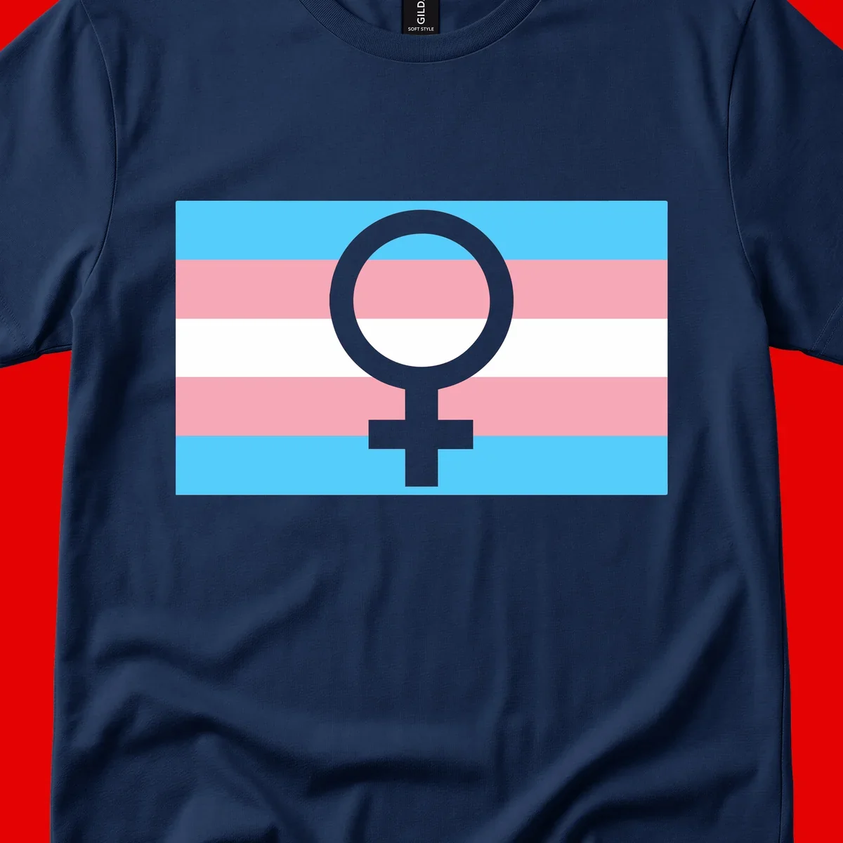 Gray female symbol centered on trans pride flag with cyan, pink, and white horizontal stripes