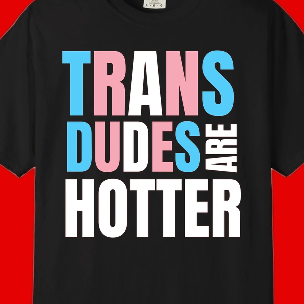 Bold typography design reading 'TRANS DUDES ARE HOTTER' in cyan, pink, and white letters on gray background