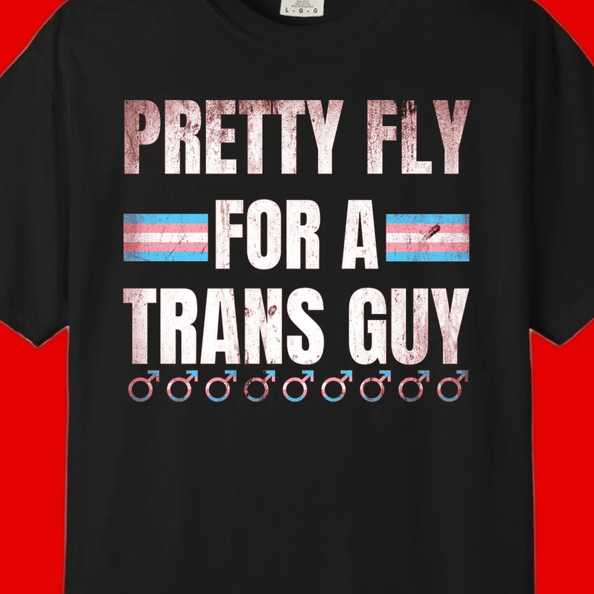 Distressed white text reading 'Pretty Fly For A Trans Guy' with blue and pink transgender pride stripes and male gender symbols