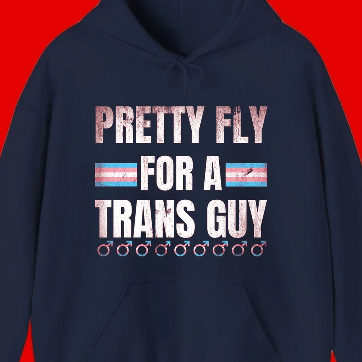 Distressed white text reading 'Pretty Fly For A Trans Guy' with blue and pink transgender pride stripes and male gender symbols