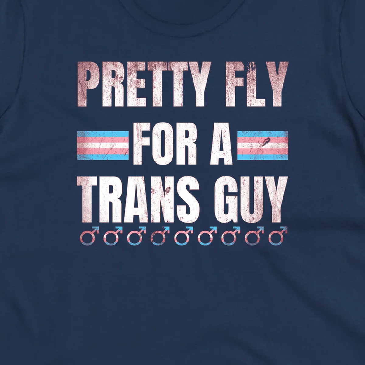 Distressed white text reading 'Pretty Fly For A Trans Guy' with blue and pink transgender pride stripes and male gender symbols