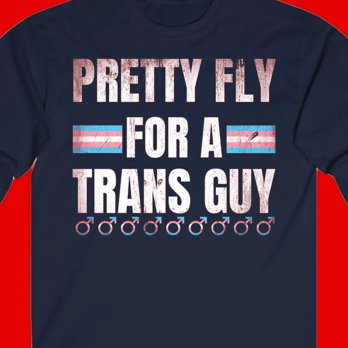 Distressed white text reading 'Pretty Fly For A Trans Guy' with blue and pink transgender pride stripes and male gender symbols