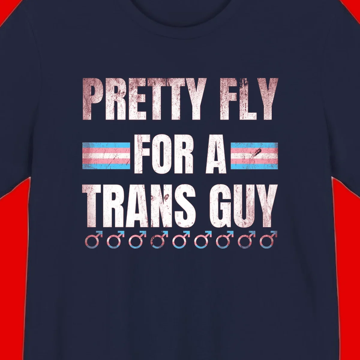 Distressed white text reading 'Pretty Fly For A Trans Guy' with blue and pink transgender pride stripes and male gender symbols