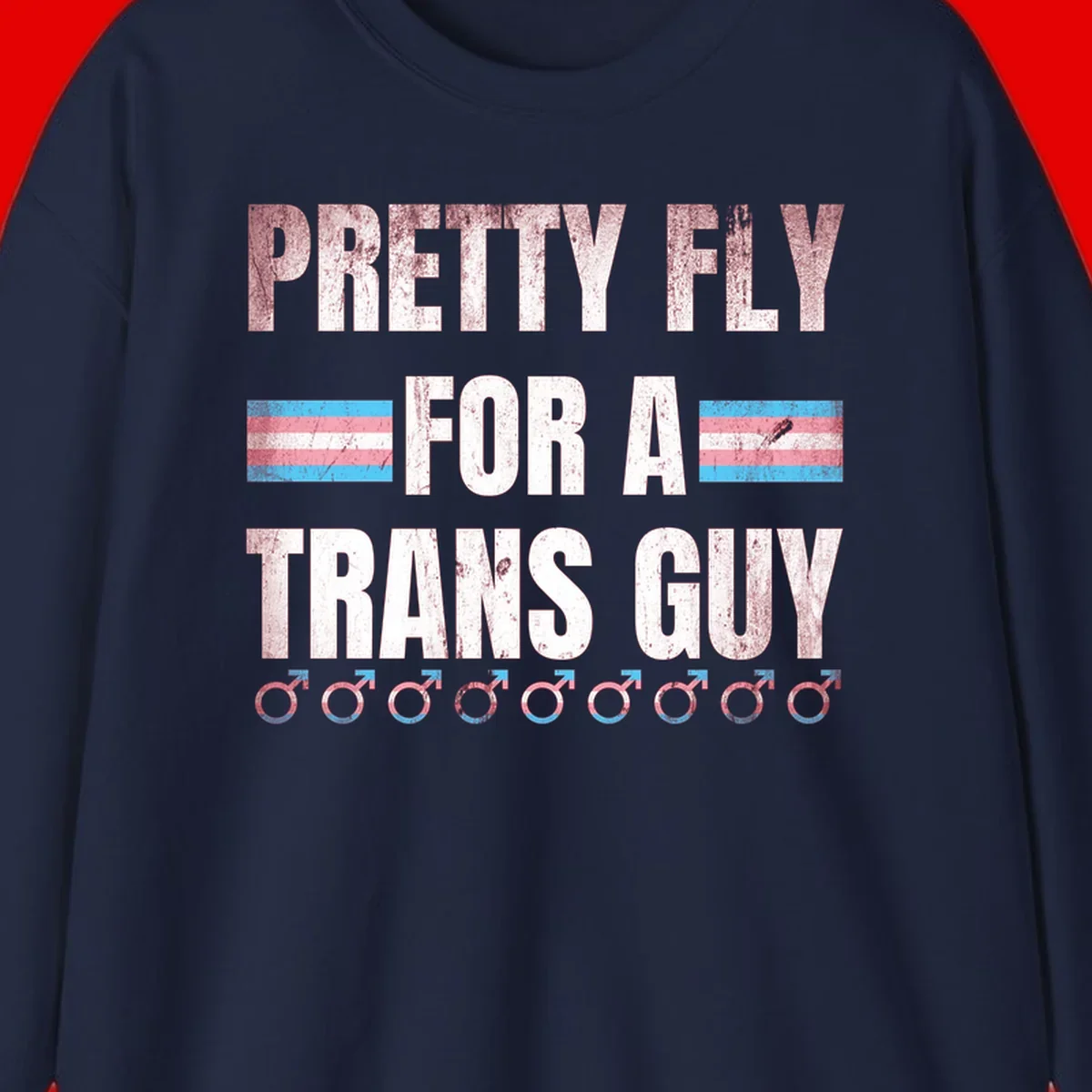 Distressed white text reading 'Pretty Fly For A Trans Guy' with blue and pink transgender pride stripes and male gender symbols