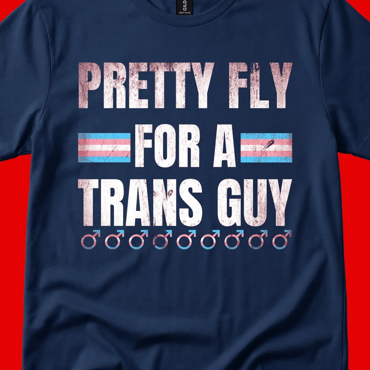 Distressed white text reading 'Pretty Fly For A Trans Guy' with blue and pink transgender pride stripes and male gender symbols