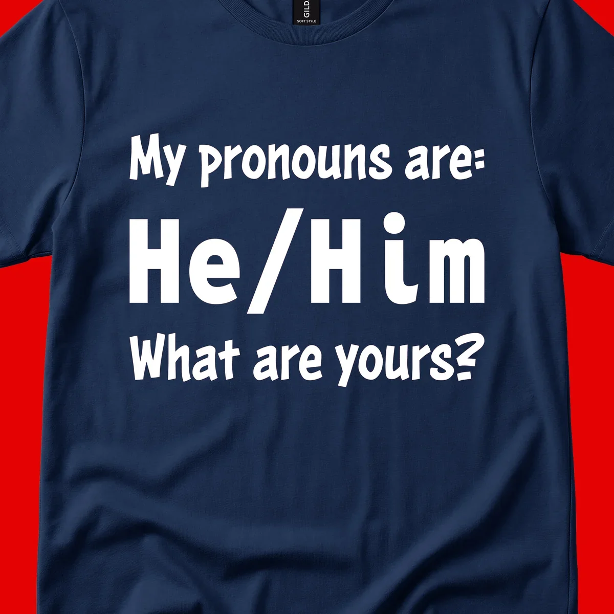 White text on gray background reading 'My pronouns are: He/Him What are yours?' - a he/him pronouns pride design