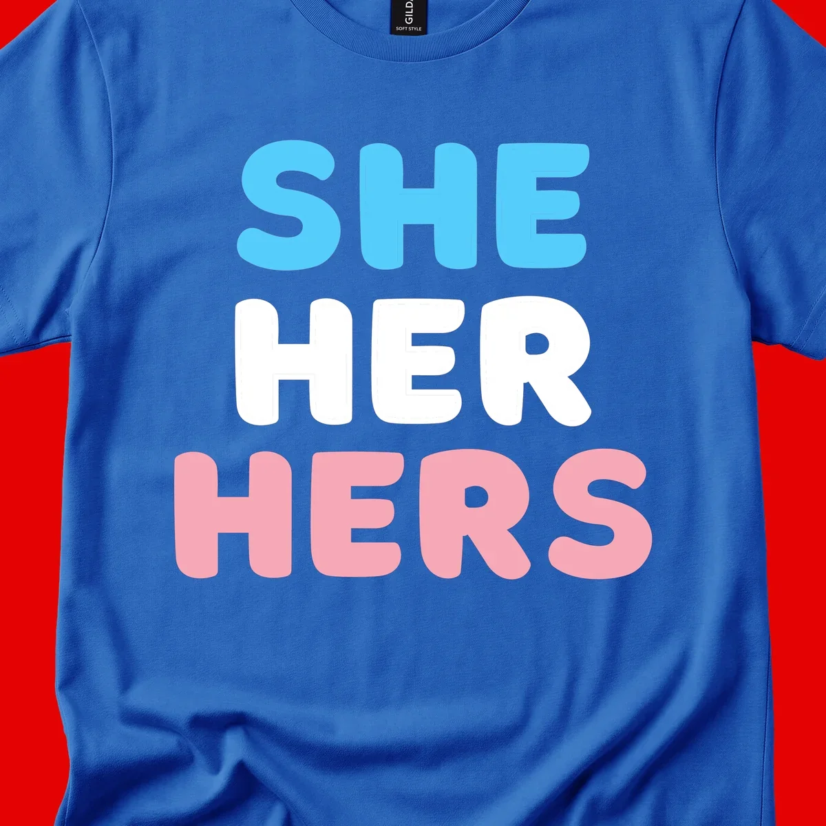 Bold three-line text design reading 'SHE HER HERS' in cyan, white, and pink colors representing she-her-hers pronouns
