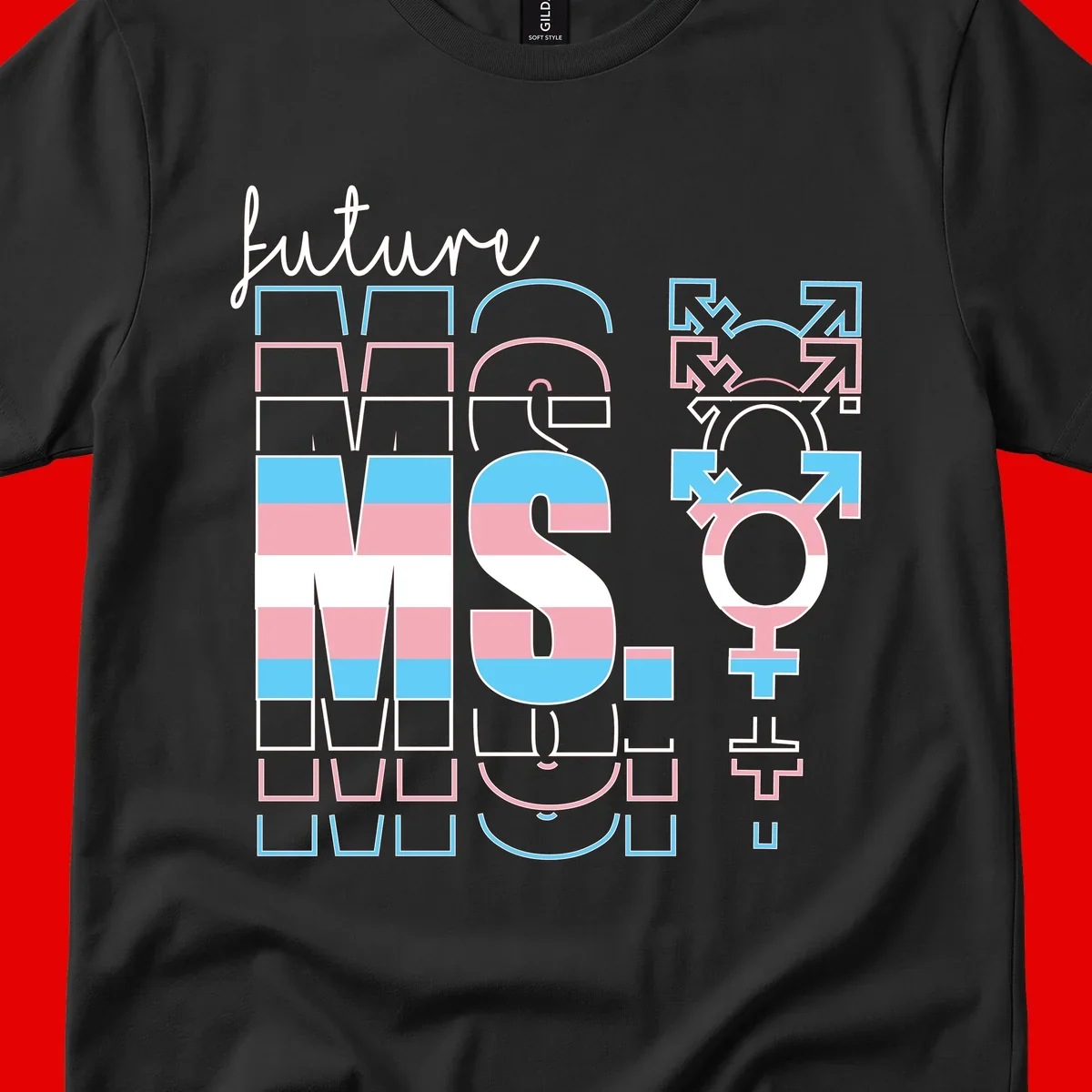 Future self gender identity pride design featuring male, female, non-binary, transgender, and intersex symbols with blue, pink, and white striped elements