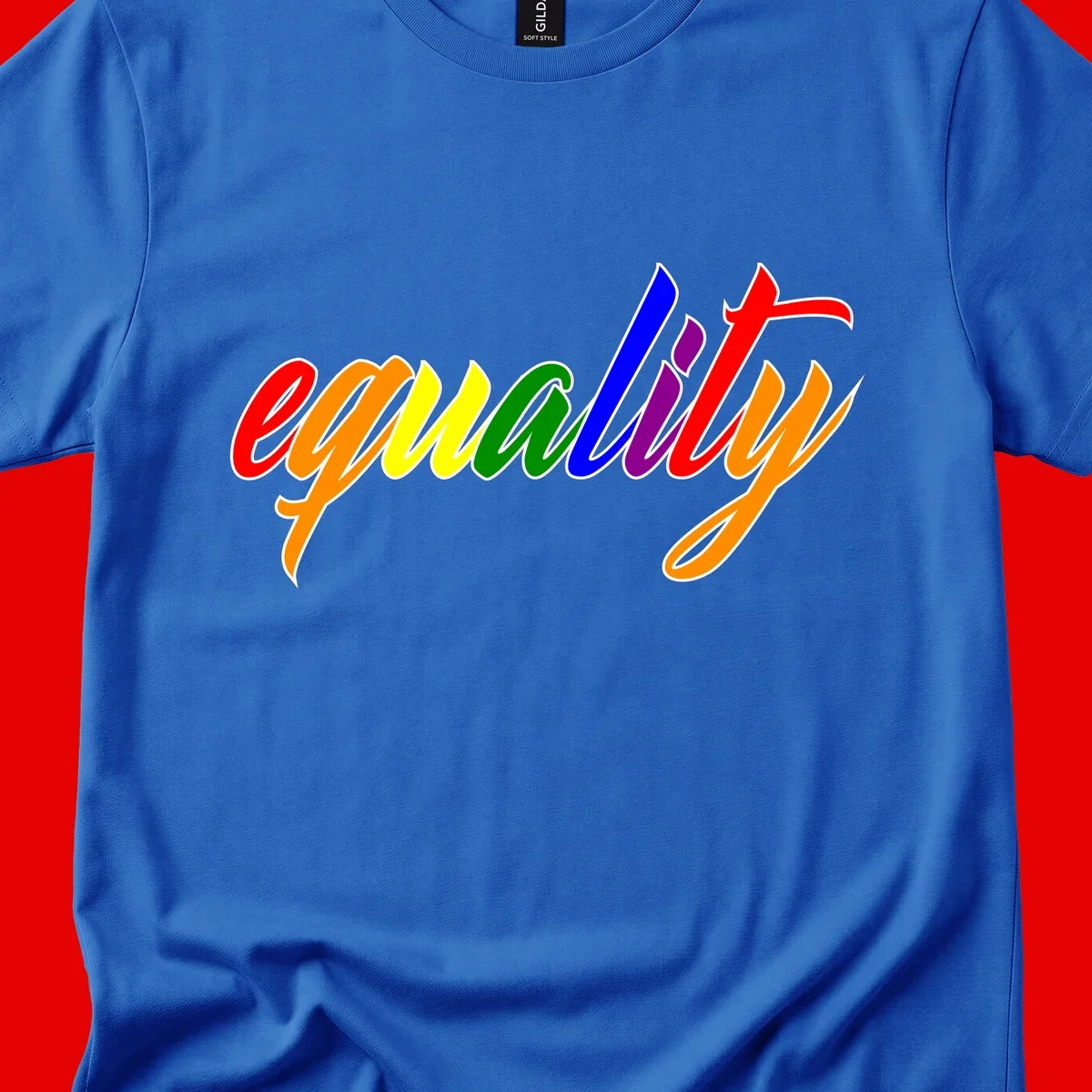 Colorful cursive word 'equality' with each letter in rainbow pride colors on gray background