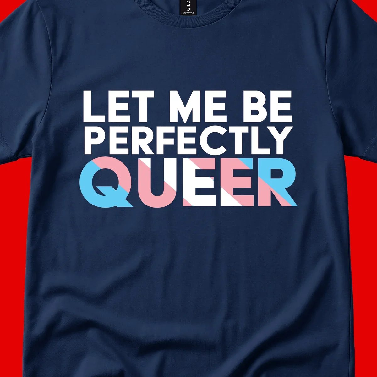 Bold white typography reading 'LET ME BE PERFECTLY QUEER' with pink and blue geometric color blocking on gray background