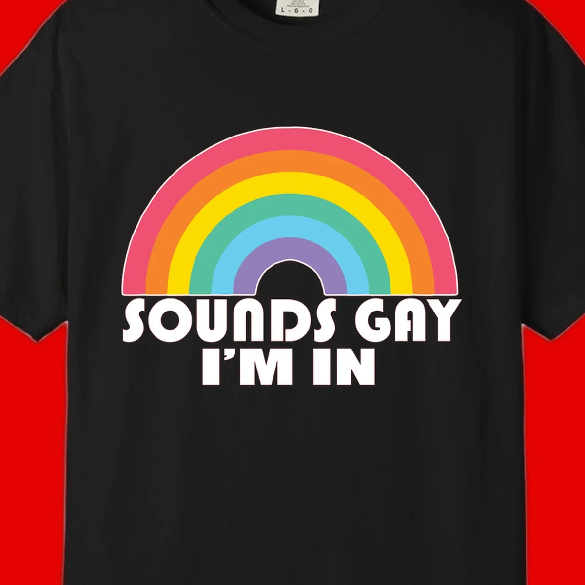 Colorful concentric rainbow arc above white text reading 'Sounds Gay I'm In' on gray background