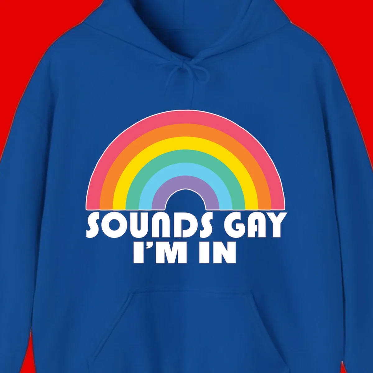 Colorful concentric rainbow arc above white text reading 'Sounds Gay I'm In' on gray background