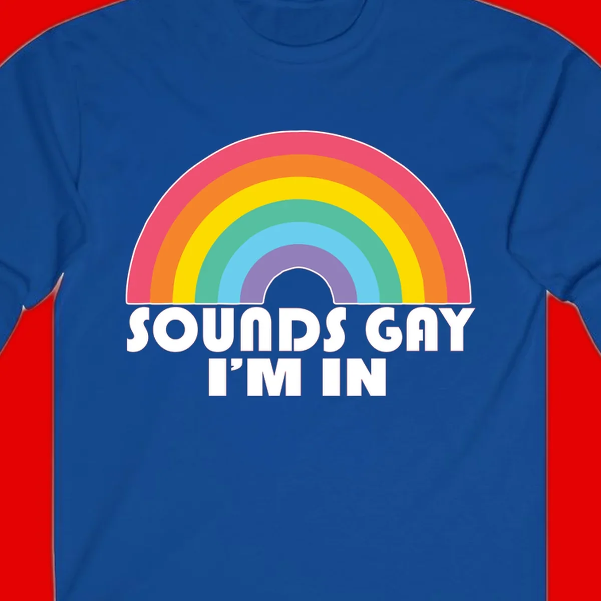 Colorful concentric rainbow arc above white text reading 'Sounds Gay I'm In' on gray background