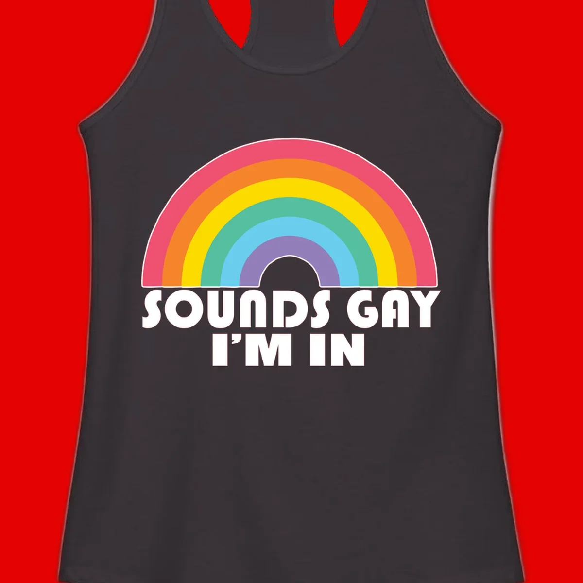 Colorful concentric rainbow arc above white text reading 'Sounds Gay I'm In' on gray background