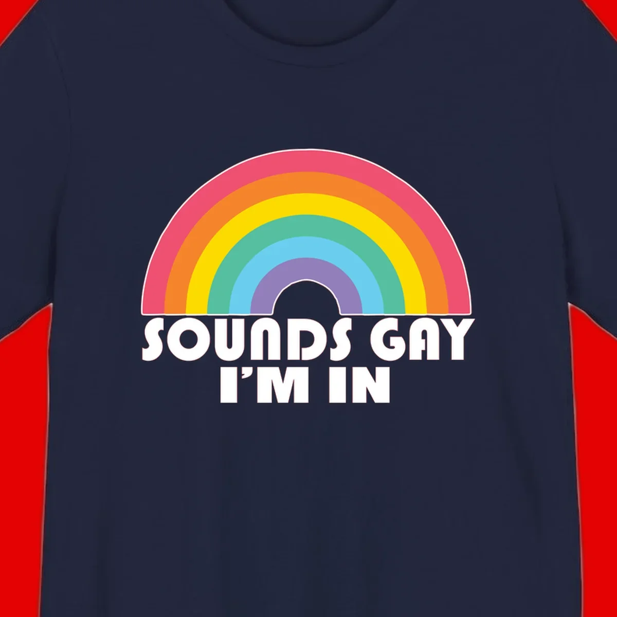 Colorful concentric rainbow arc above white text reading 'Sounds Gay I'm In' on gray background