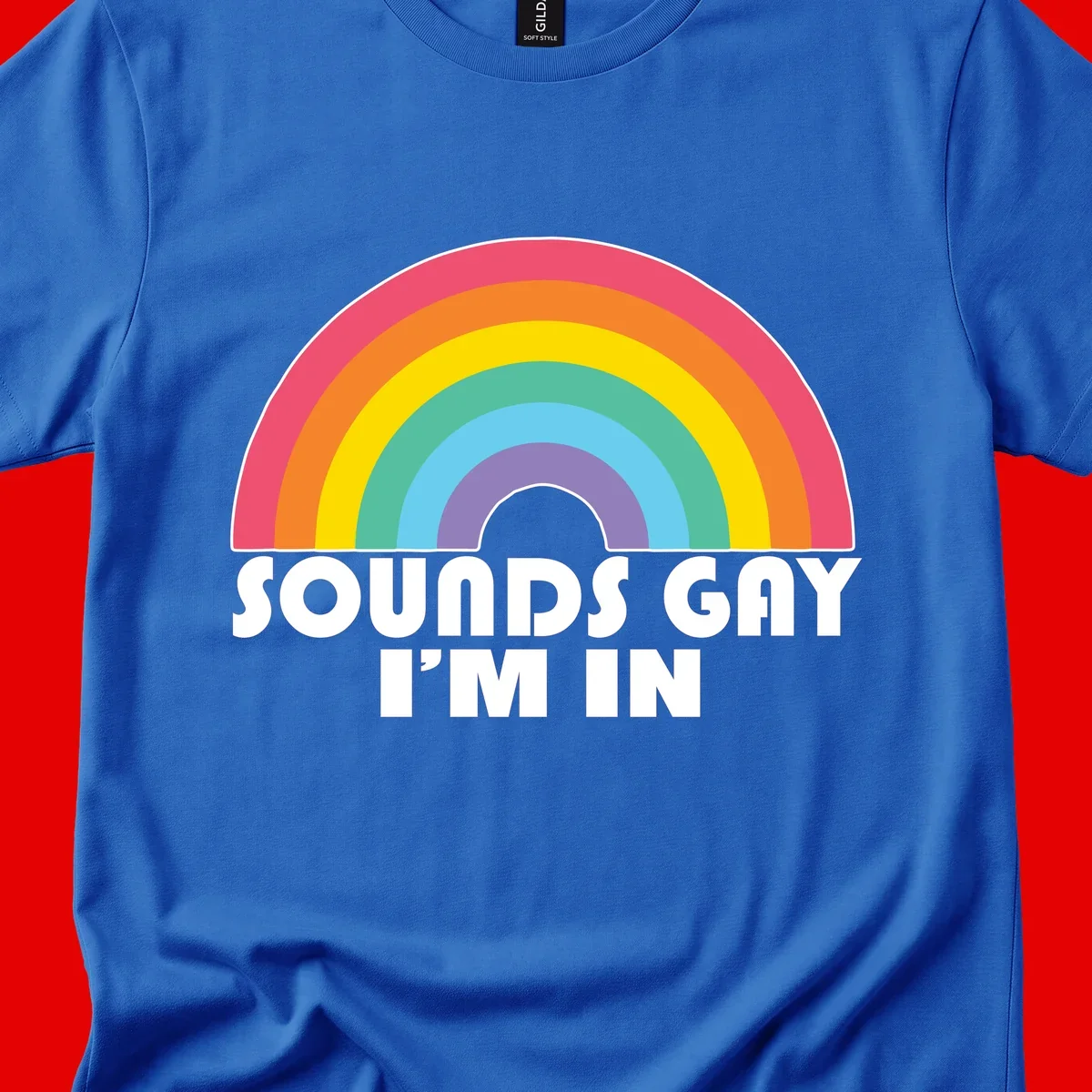 Colorful concentric rainbow arc above white text reading 'Sounds Gay I'm In' on gray background
