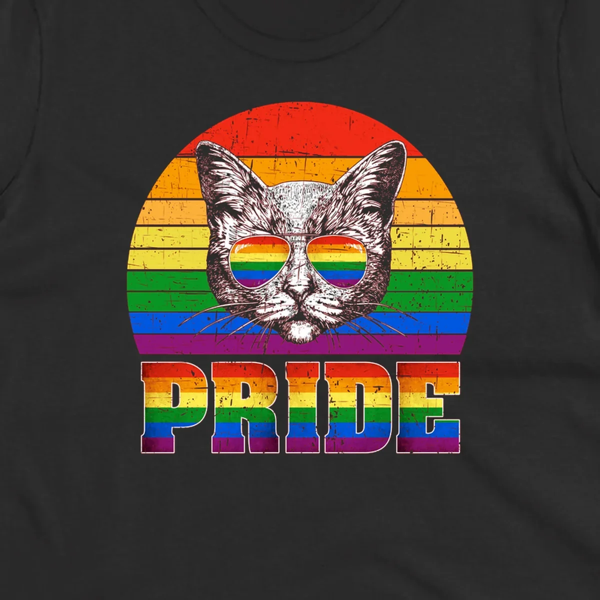 Illustration of a cool cat wearing rainbow-reflective sunglasses with the word PRIDE below, set against a rainbow striped background
