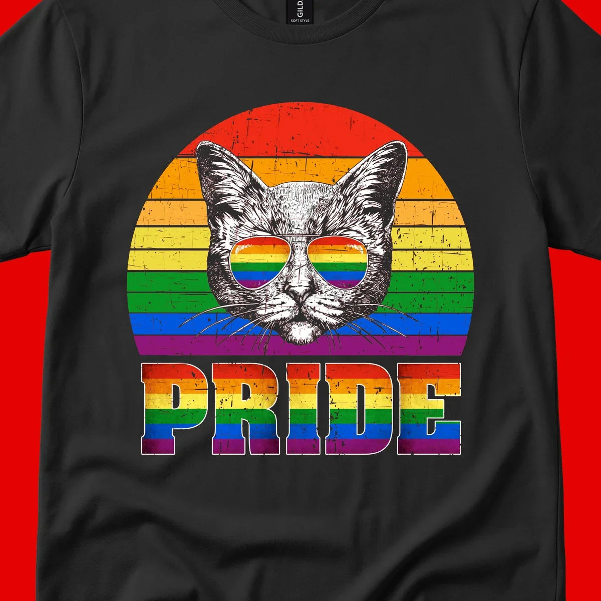 Illustration of a cool cat wearing rainbow-reflective sunglasses with the word PRIDE below, set against a rainbow striped background