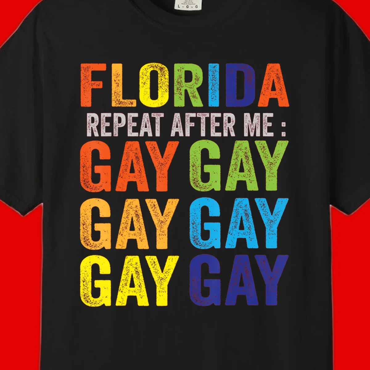 Rainbow colored text reading 'Florida Repeat After Me: Gay Gay Gay Gay' with distressed grunge texture on gray background